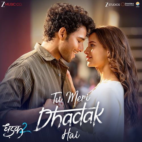 Tu Meri Dhadak Hai From Dhadak 2 - Rashmi-Virag
