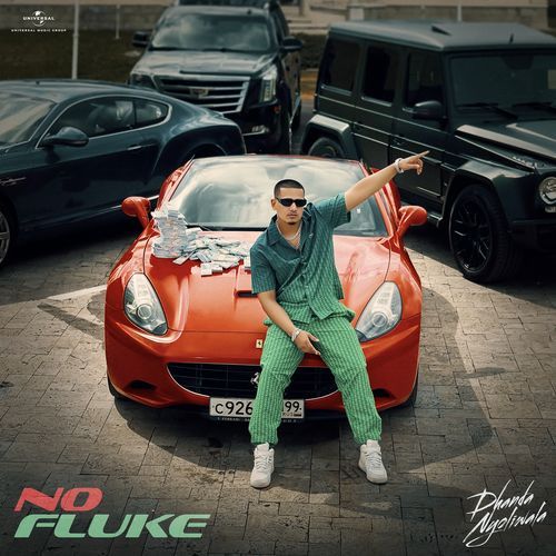 No Fluke - Dhanda Nyoliwala