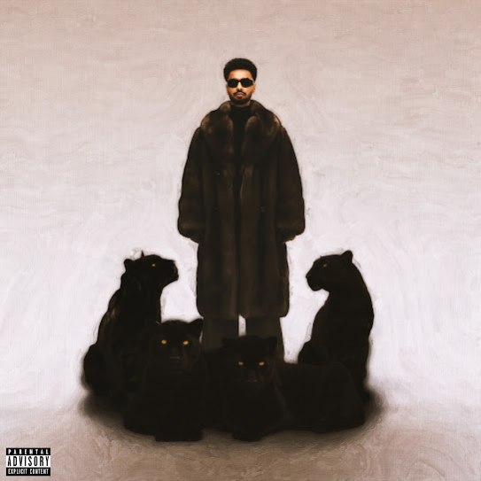 Levels & Graphs - Navaan Sandhu