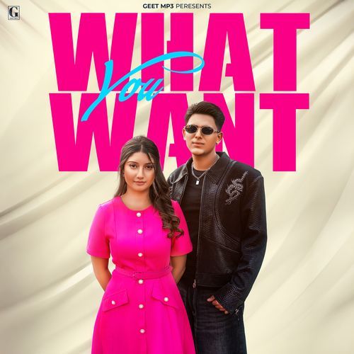 What You Want - Arjun Sahota