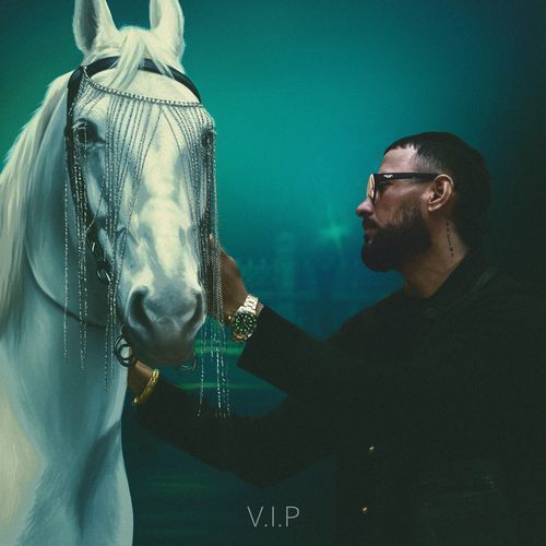V.I.P - Garry Sandhu