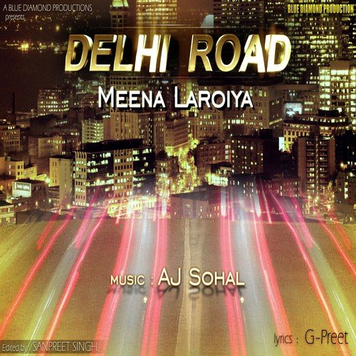 Delhi Road - Meena Laroiya