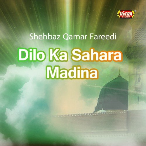 Nabi Ki Yaad Se Roshan - Shehbaz Qamar Fareedi