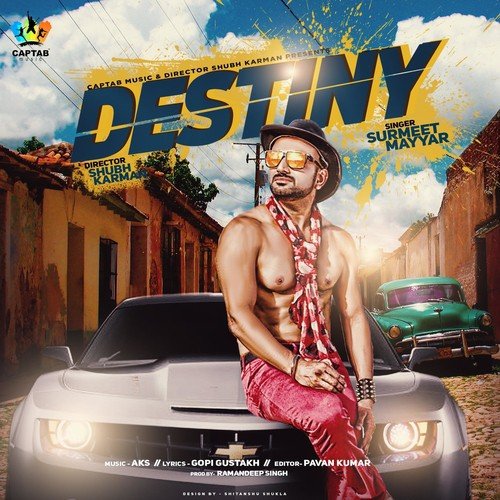 Destiny - Surmeet Mayyar