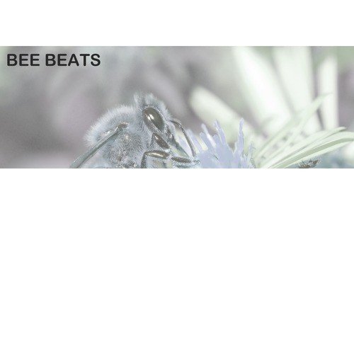 Bhangra Baja - Bee Beats