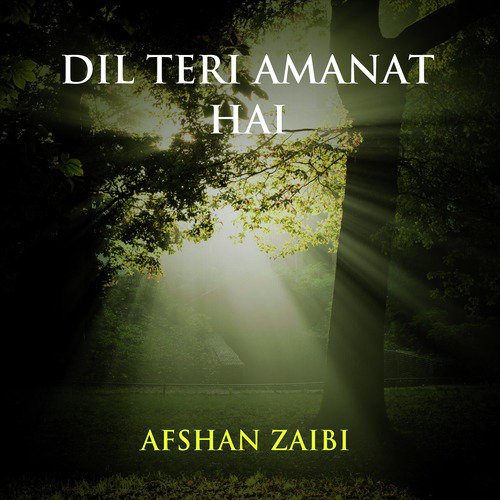 Allah Tauba Mein Dil Kuthey - Afshan Zaibi
