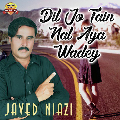 Assan Tan Nibhenday Wady Yariyan - Javed Niazi
