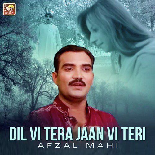 Tere Bin - Afzal Mahi