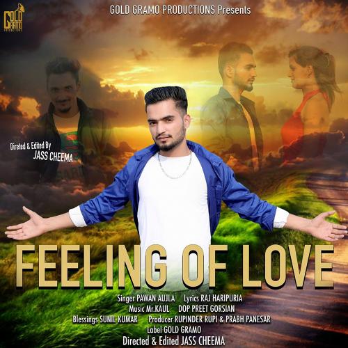 Feeling of Love - Pawan Aujla