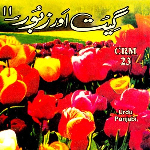 Kaalay Chittay Badal - Various Artists