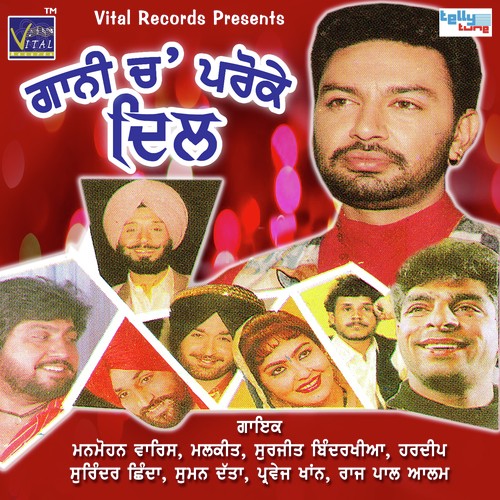 Baj Dhol Geya Mai - Various Artists