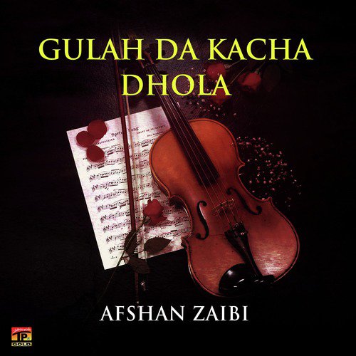 Jiki Degri De Vele - Afshan Zaibi
