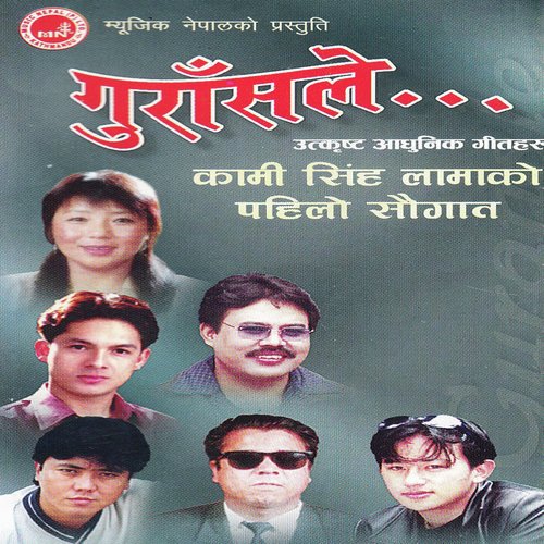 Bachnuko - Various Artists