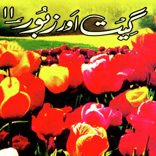 Kaalay Chittay Badal - Various Artists