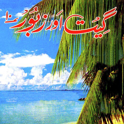 Nirali Hai Shaan - Various Artists