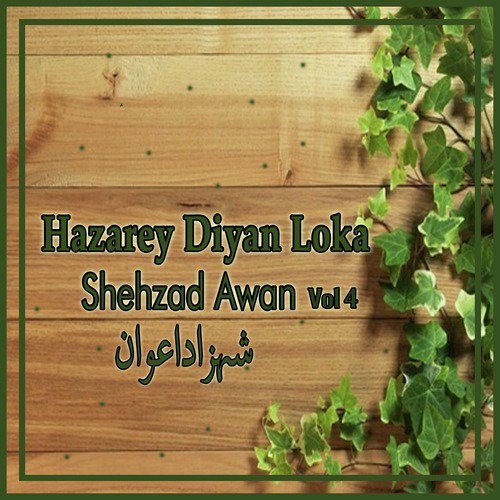Dil Dey Mobale - Shehzad Awan