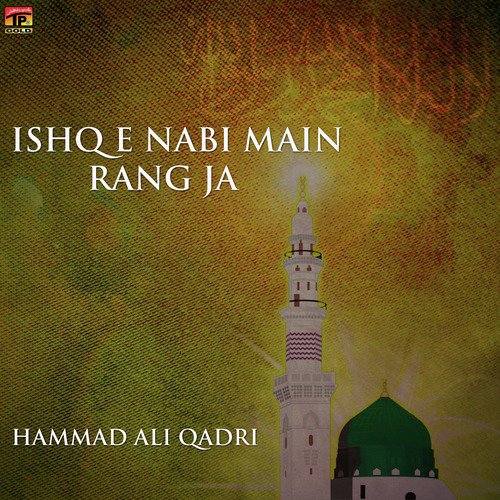 Amad Sarkar Hai - Hammad Ali Qadri