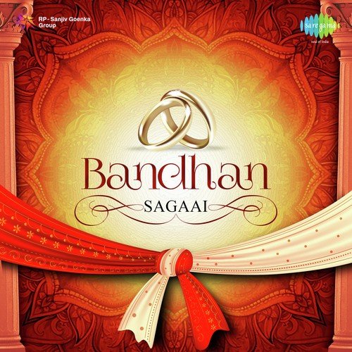 Main Sasural Nahin Jaoongi (From Chandni) - Various Artists