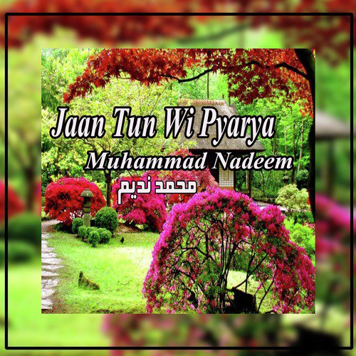 Qabar Meri Te Phal Na Pawen - Muhammad Nadeem