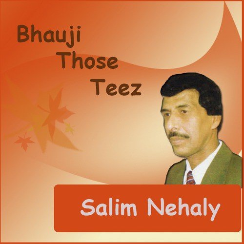 Pani Mai Aag Laga - Salim Nehaly