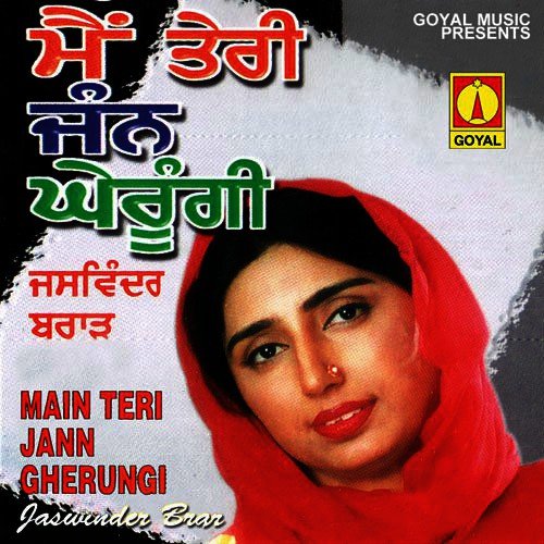 Mere Ni Shoukeen Mahi Ne - Various Artists