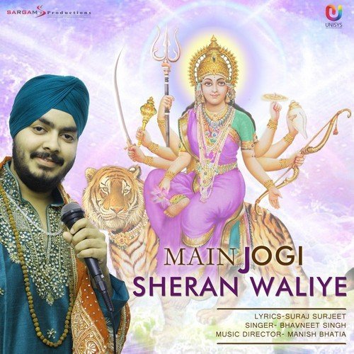 Main Jogi Sheran Waliye - Various Artists