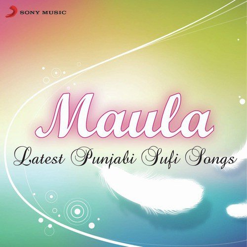 Raanjheya Ve (From Raanjheya Ve) - Various Artists