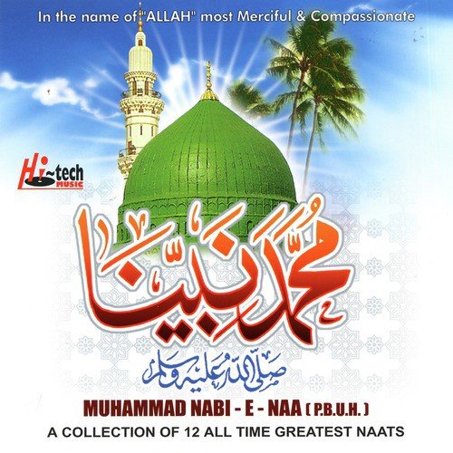 Madine Diyan Paak Galiyan - Various Artists