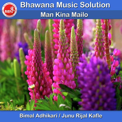 Man Kina Mailo - Bimal Adhikari, Junu Rijal Kafle