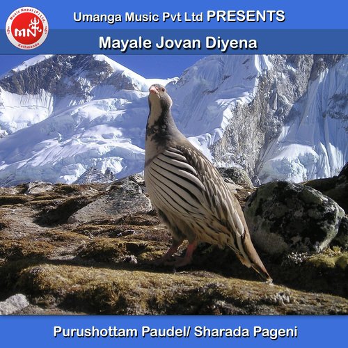 Mayale Jovan Diyena - Purushottam Paudel, Sharada Pageni