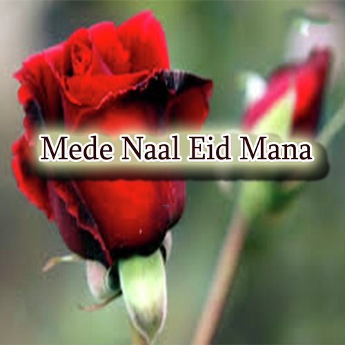 Wasay D G Khan Teda - Bilal Hussain Bilal