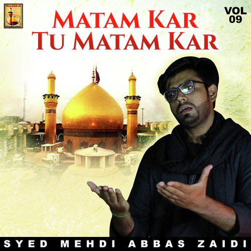 Jab Marr Gaye Abbas Alamdar - Syed Mehdi Abbas Zaidi