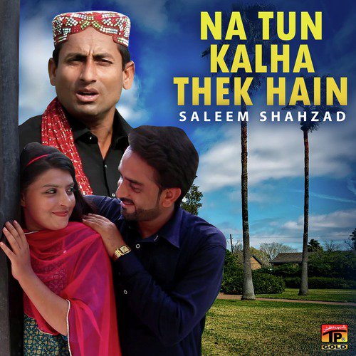 Na Tun Kalha Thek Hain - Saleem Shahzad