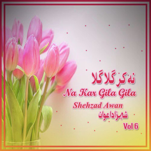 Has Key O Kery - Shehzad Awan