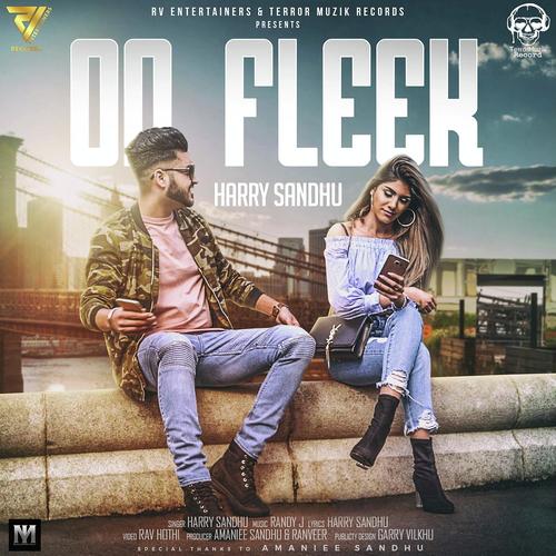 On Fleek - Harry Sandhu