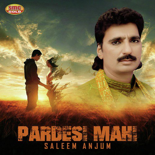 Aaja Dolnra - Saleem Anjum
