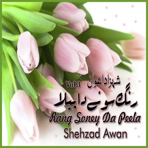 Rang Soney Da Peela - Shehzad Awan