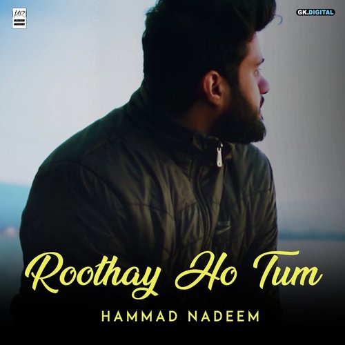 Roothay Ho Tum - Hammad Nadeem