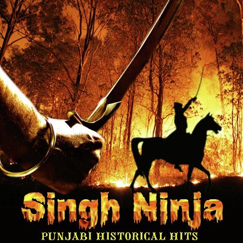 Sher Punjab - Various Artists