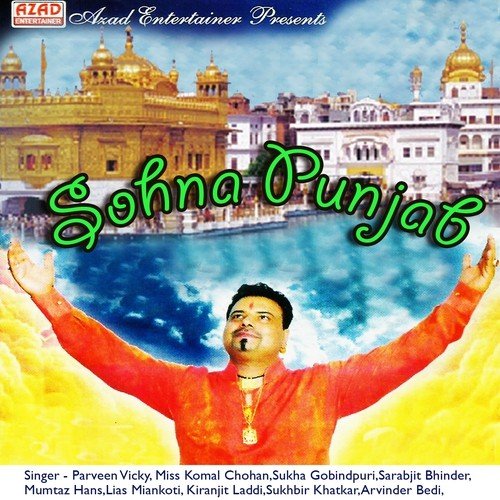 Nachde Shokeen Gabhru - Various Artists