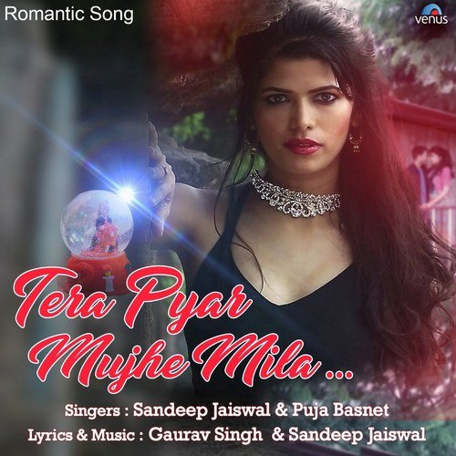 Tera Pyar Mujhe Mila - Namrata Dixit