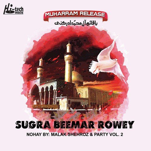 Bachiyan Da Matam Honda Eh - Malak Shehroz aur Party, Muharram