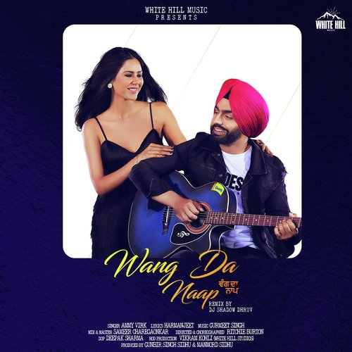 Wang da Naap (Remix Version) - Ammy Virk