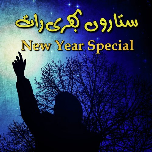 Ulfat Ki Nai Manzil KO Chala - Various Artists