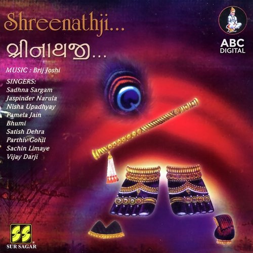 Shreeji Amara - Various Artists