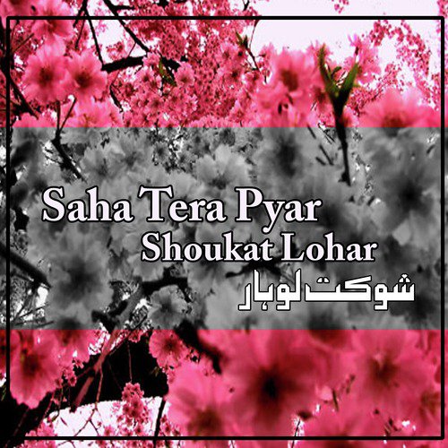 Akhian Day Wich - Shoukat Lohar