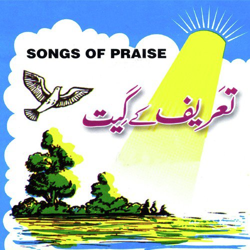 Jawani Ke Dino Mein - Various Artists