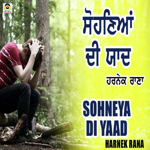 Sohneya Di Yaad - Harnek Rana