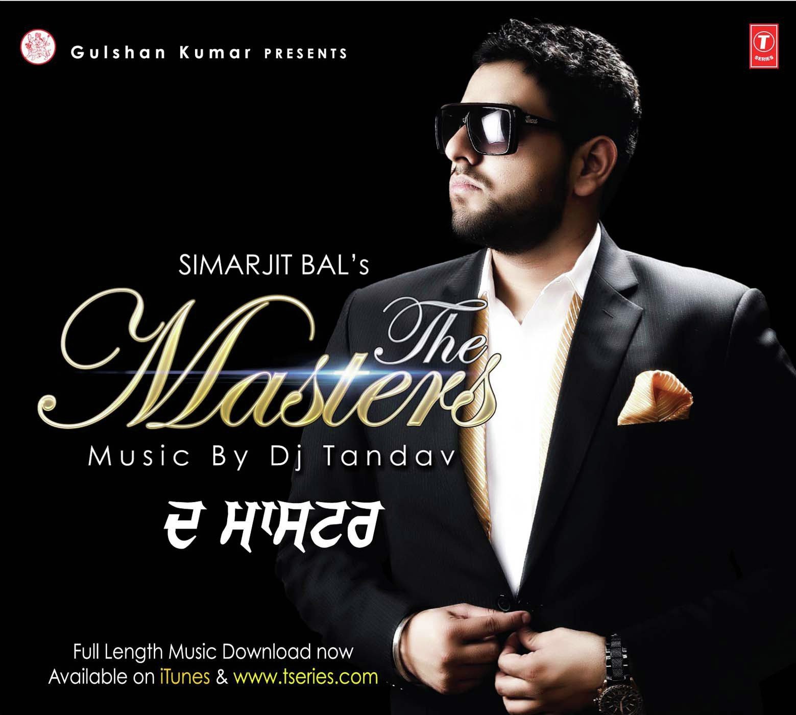 Perfect Punjabi - Various Artists
