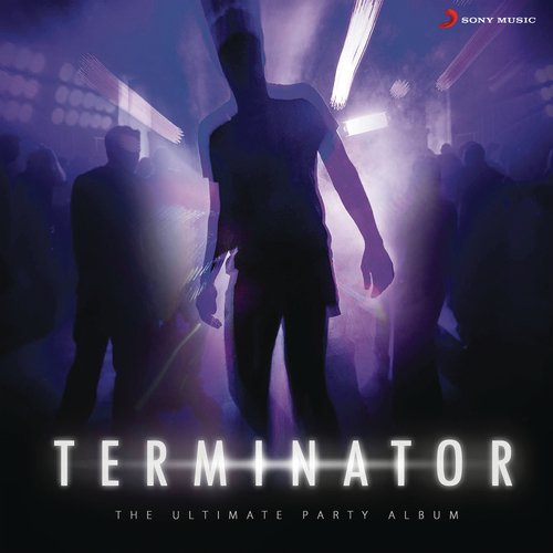 Crazy for the Party - Various Artists